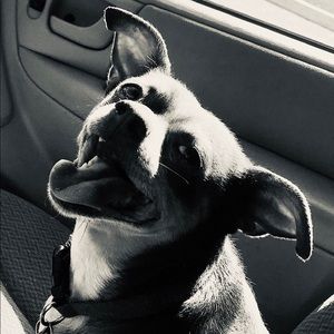 Meet your Posher, Fausto